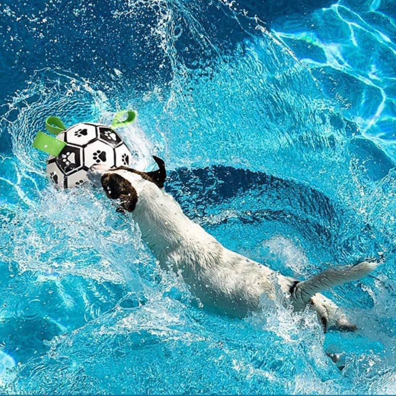Dog Soccer Ball with Ropes – Interactive Toy