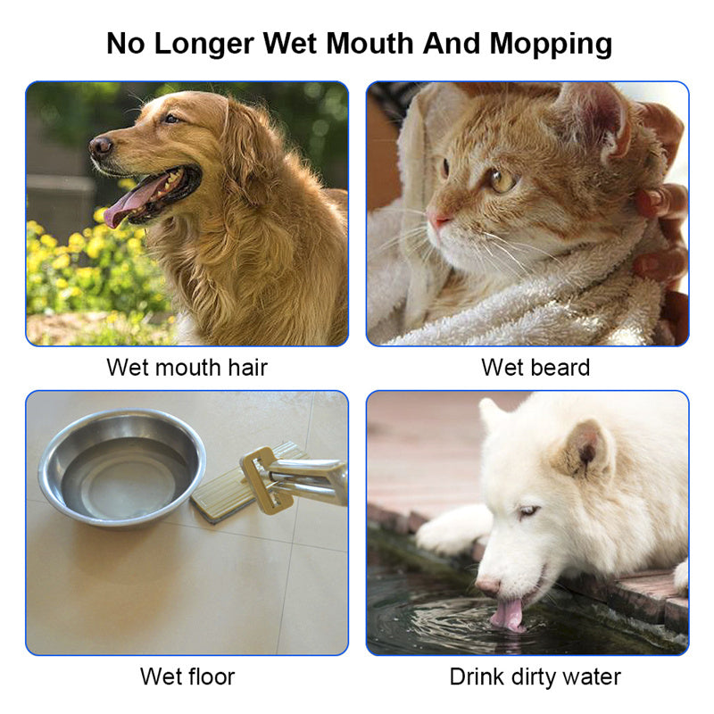 Floating Spill-Proof Water Bowl for Cats and Dogs